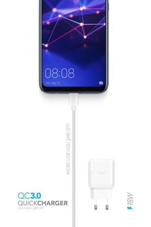 Powerway QCM30 Micro Usb Girişli 3A 18W Hızlı Şarj Seti Orijinal