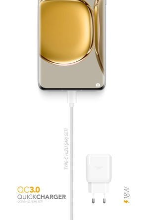 Powerway QCT30 Type-C Girişli 3.0 Amper 18W Hızlı Şarj Seti Orijinal 3.0A Garantili