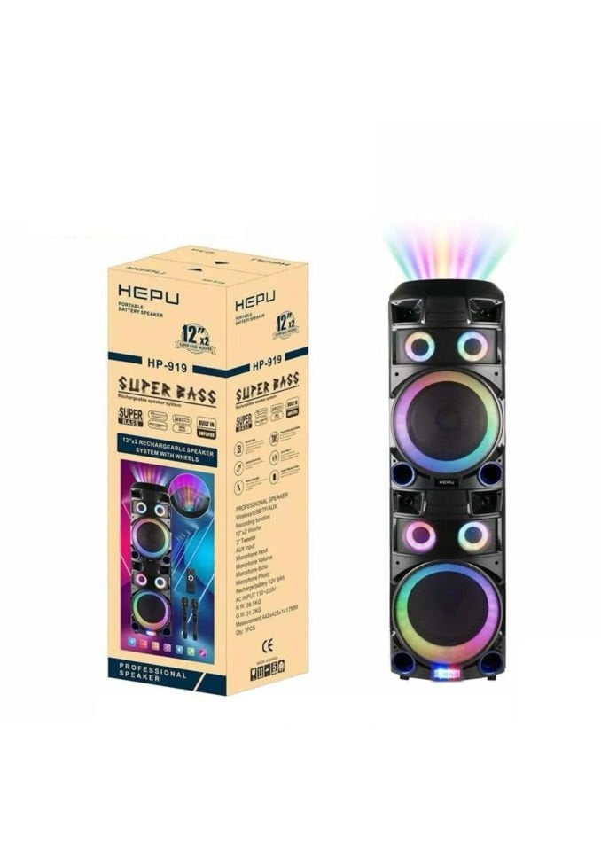 HEPU Hp 919 Taşınabilir Amfi Kule Tipi Bluetooth Parti Hoparlörü pmpo 300 W 212 inc Subwoofer